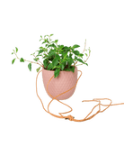 Virago Ceramic Modern Hanging Planter - Chive US Wholesale