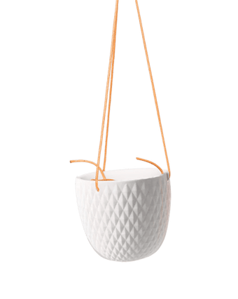 Virago Ceramic Modern Hanging Planter - Chive US Wholesale
