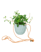 Virago Ceramic Modern Hanging Planter - Chive US Wholesale