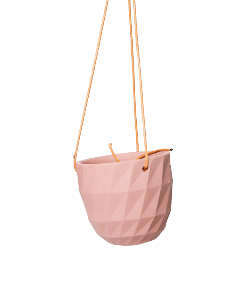 Virago Ceramic Modern Hanging Planter - Chive US Wholesale