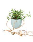 Virago Ceramic Modern Hanging Planter - Chive US Wholesale