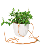 Virago Ceramic Modern Hanging Planter - Chive US Wholesale