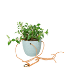 Virago Ceramic Modern Hanging Planter - Chive US Wholesale