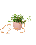 Virago Ceramic Modern Hanging Planter - Chive US Wholesale