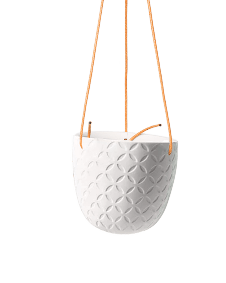 Virago Ceramic Modern Hanging Planter - Chive US Wholesale