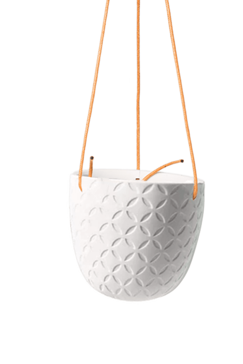 Virago Ceramic Modern Hanging Planter - Chive US Wholesale