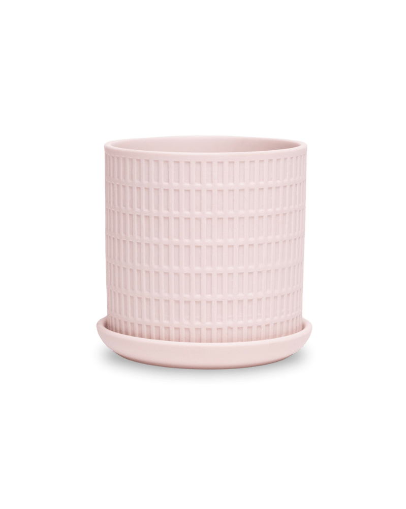 Virago 3.5" Porcelain Pot With Drainage Hole And Saucer - Chive US Wholesale