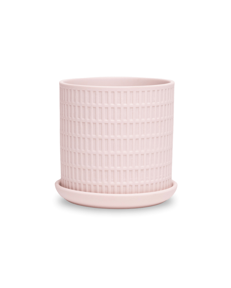 Virago 3.5" Porcelain Pot With Drainage Hole And Saucer - Chive US Wholesale