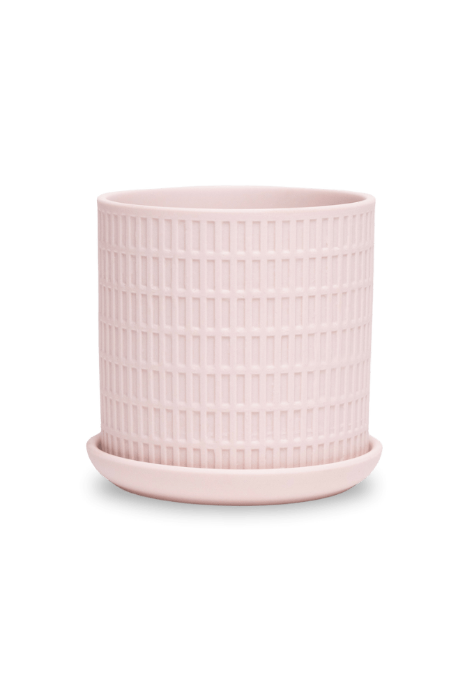 Virago 3.5" Porcelain Pot With Drainage Hole And Saucer - Chive US Wholesale