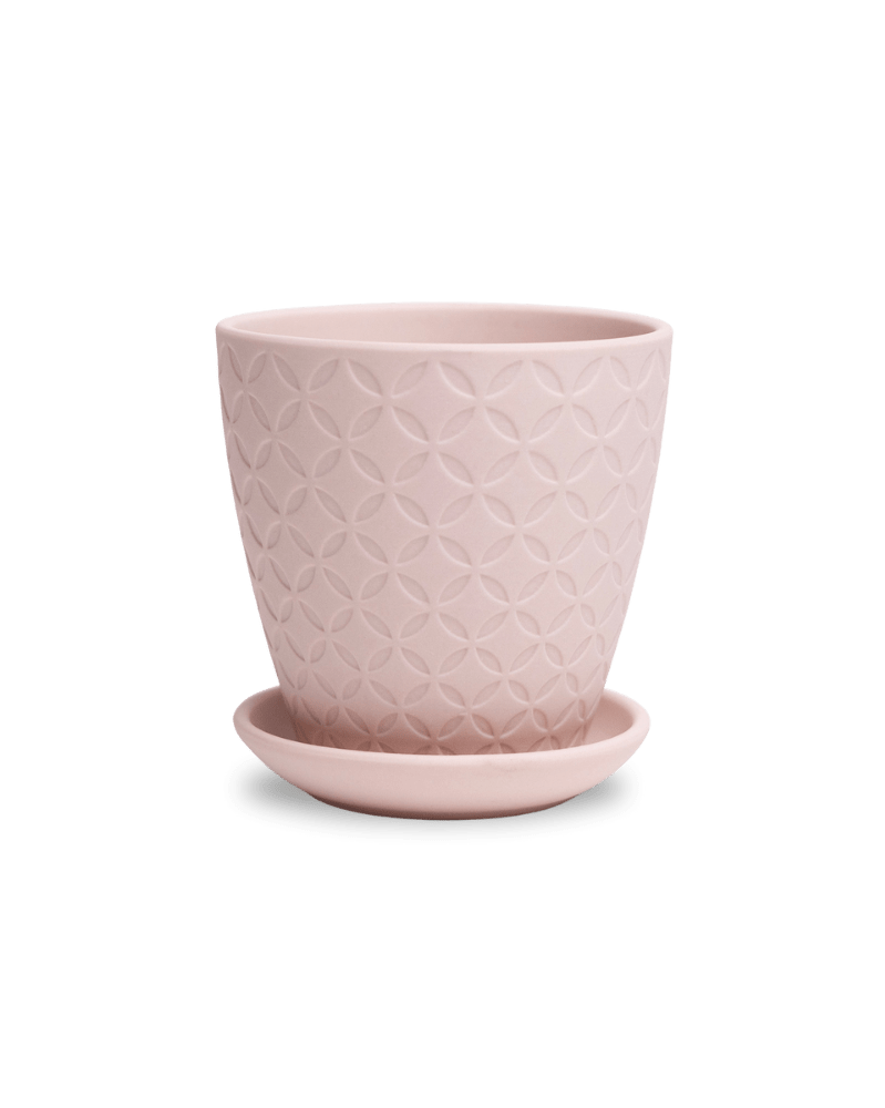 Virago 3.5" Porcelain Pot With Drainage Hole And Saucer - Chive US Wholesale