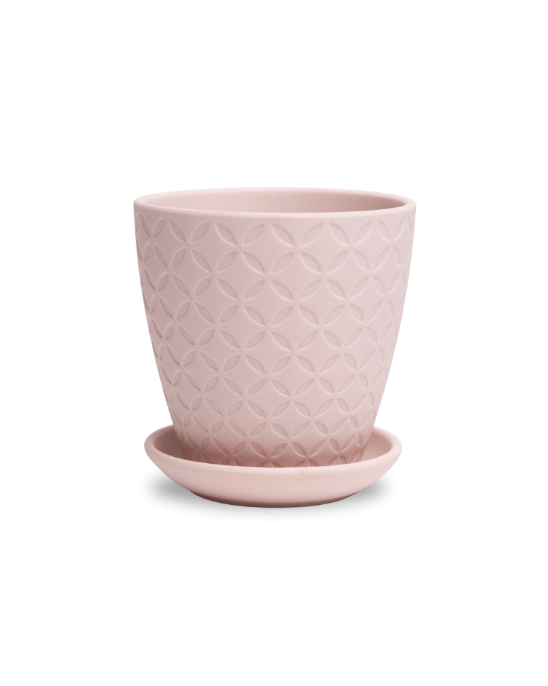 Virago 3.5" Porcelain Pot With Drainage Hole And Saucer - Chive US Wholesale