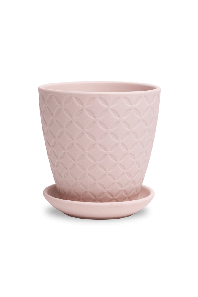 Virago 3.5" Porcelain Pot With Drainage Hole And Saucer - Chive US Wholesale