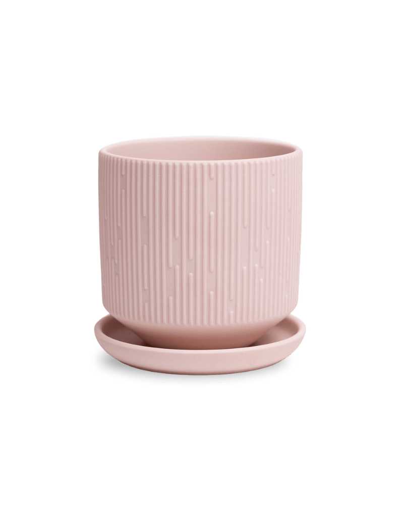 Virago 3.5" Porcelain Pot With Drainage Hole And Saucer - Chive US Wholesale