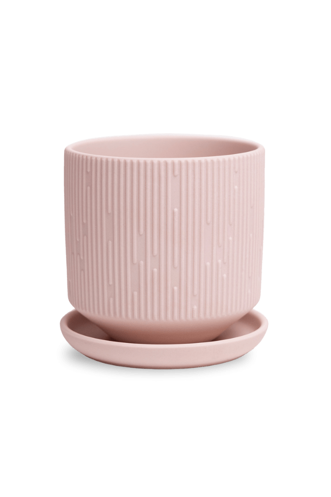 Virago 3.5" Porcelain Pot With Drainage Hole And Saucer - Chive US Wholesale