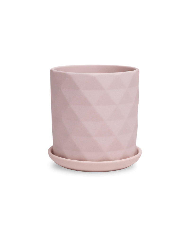Virago 3.5" Porcelain Pot With Drainage Hole And Saucer - Chive US Wholesale
