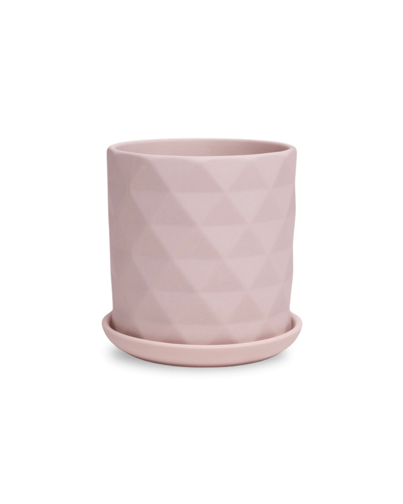 Virago 3.5" Porcelain Pot With Drainage Hole And Saucer - Chive US Wholesale