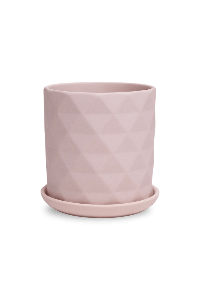 Virago 3.5" Porcelain Pot With Drainage Hole And Saucer - Chive US Wholesale