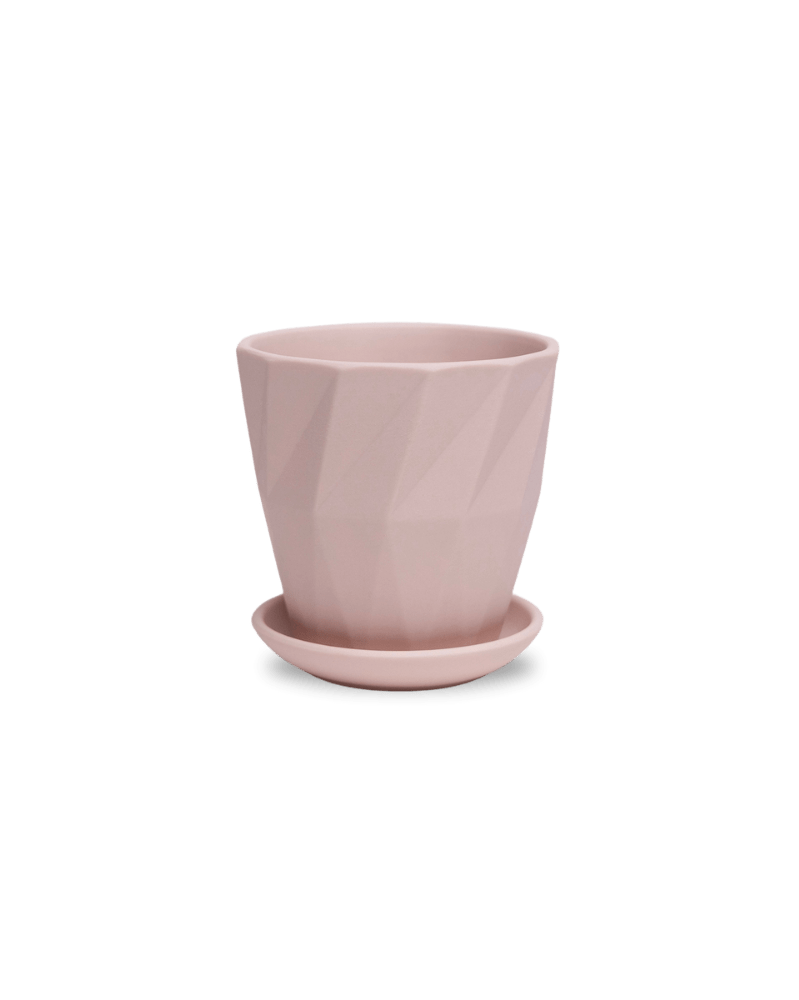 Virago 3.5" Porcelain Pot With Drainage Hole And Saucer - Chive US Wholesale