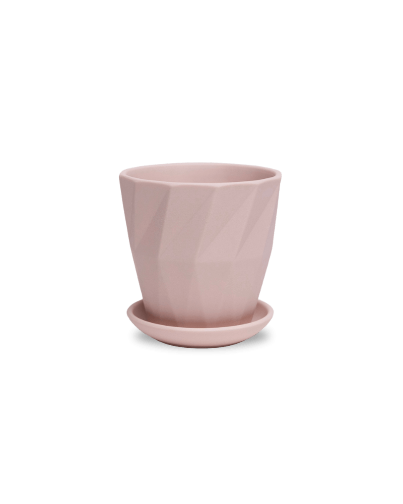 Virago 3.5" Porcelain Pot With Drainage Hole And Saucer - Chive US Wholesale