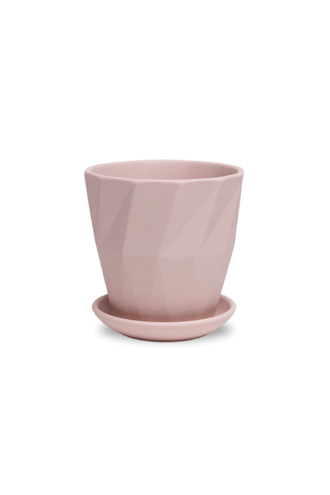 Virago 3.5" Porcelain Pot With Drainage Hole And Saucer - Chive US Wholesale