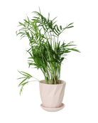 Virago 3.5" Porcelain Pot With Drainage Hole And Saucer - Chive US Wholesale