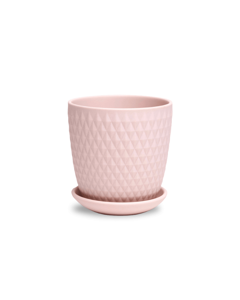 Virago 3.5" Porcelain Pot With Drainage Hole And Saucer - Chive US Wholesale