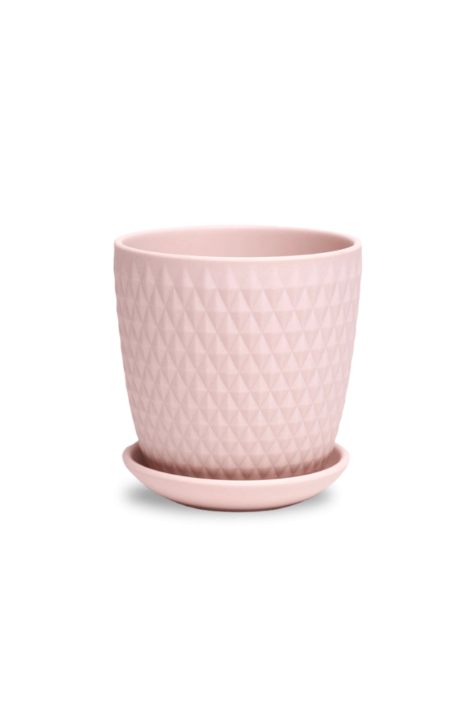 Virago 3.5" Porcelain Pot With Drainage Hole And Saucer - Chive US Wholesale