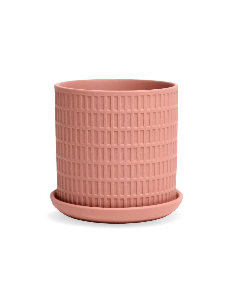 Virago 3.5" Porcelain Pot With Drainage Hole And Saucer - Chive US Wholesale