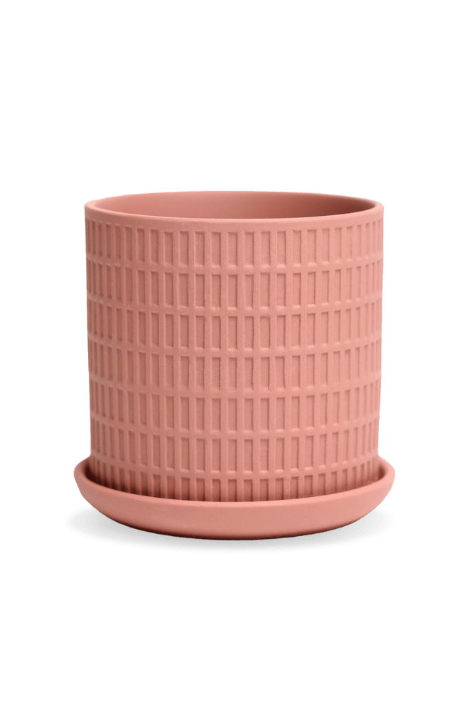 Virago 3.5" Porcelain Pot With Drainage Hole And Saucer - Chive US Wholesale