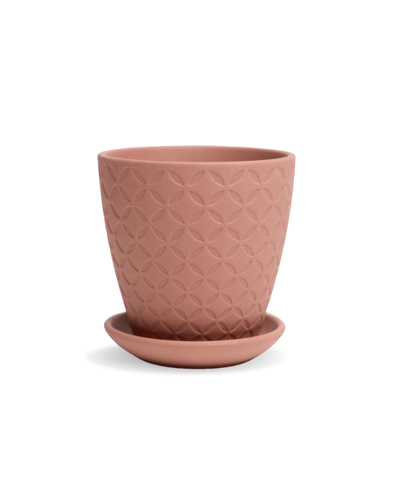 Virago 3.5" Porcelain Pot With Drainage Hole And Saucer - Chive US Wholesale