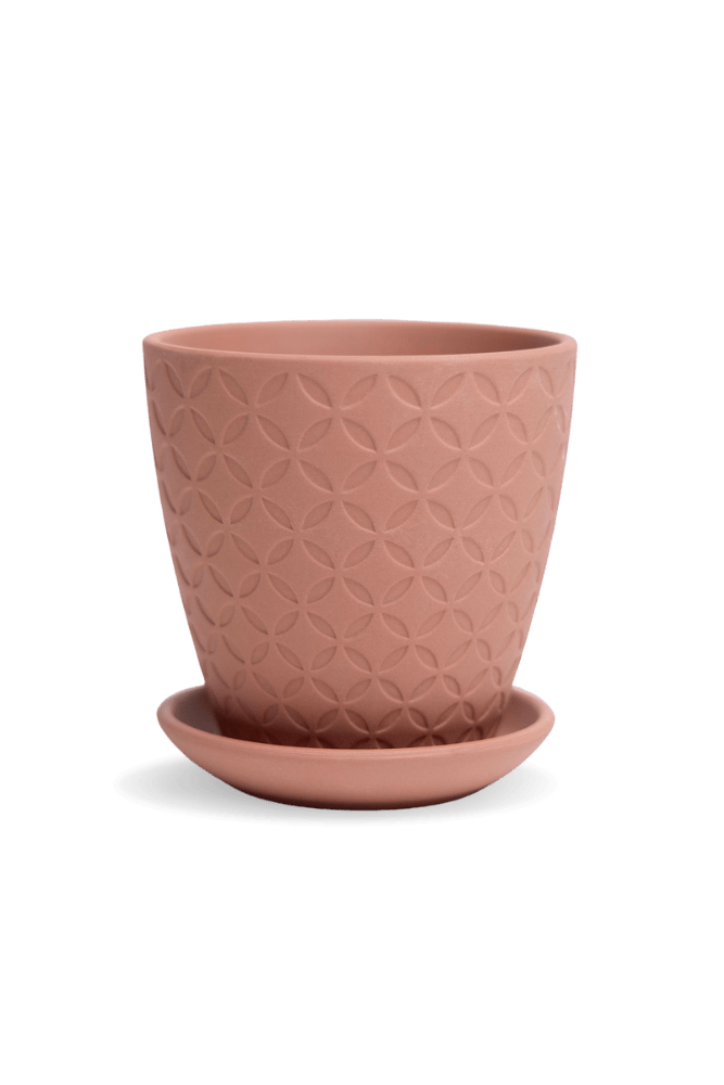 Virago 3.5" Porcelain Pot With Drainage Hole And Saucer - Chive US Wholesale