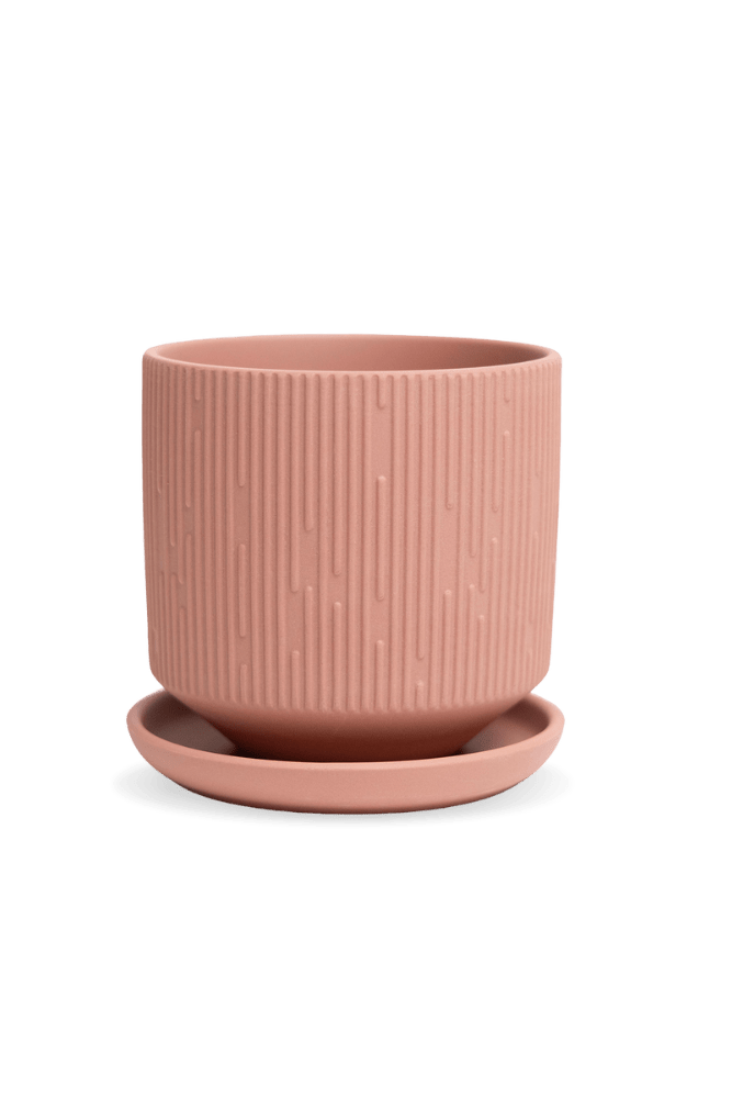 Virago 3.5" Porcelain Pot With Drainage Hole And Saucer - Chive US Wholesale