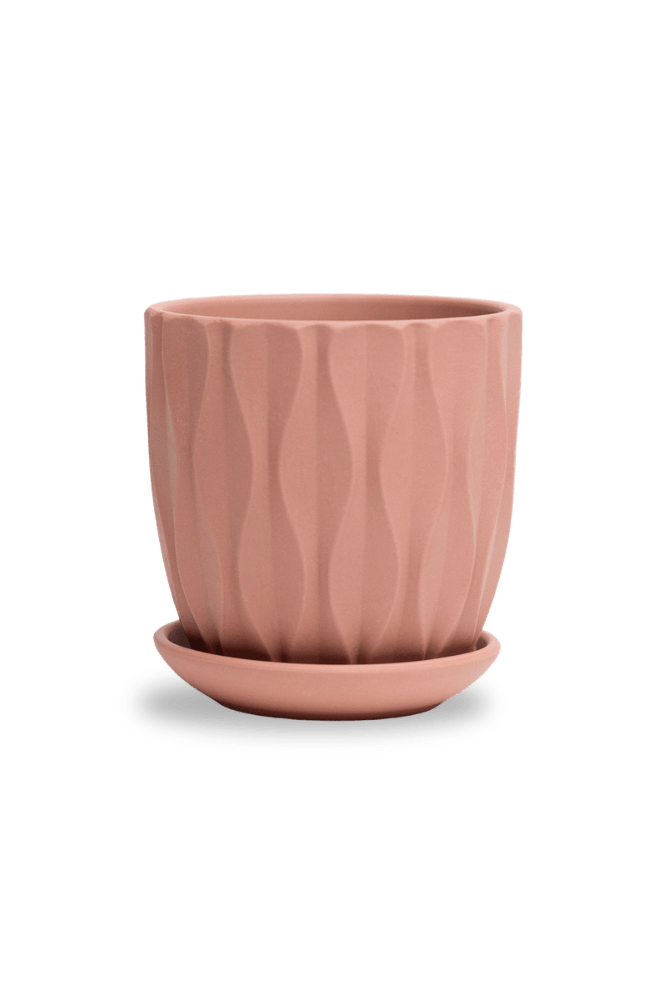 Virago 3.5" Porcelain Pot With Drainage Hole And Saucer - Chive US Wholesale