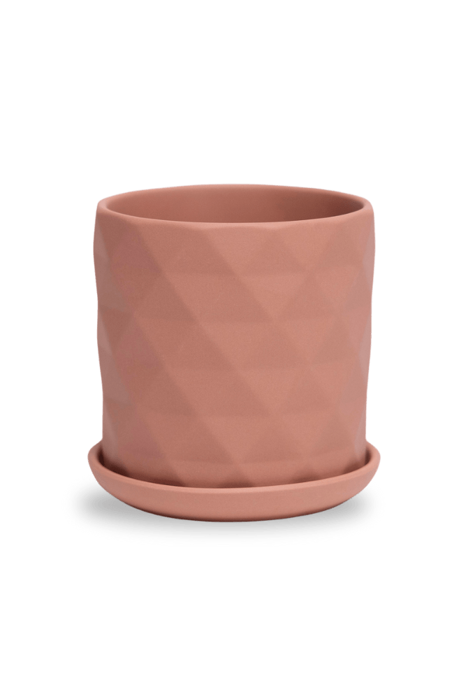 Virago 3.5" Porcelain Pot With Drainage Hole And Saucer - Chive US Wholesale