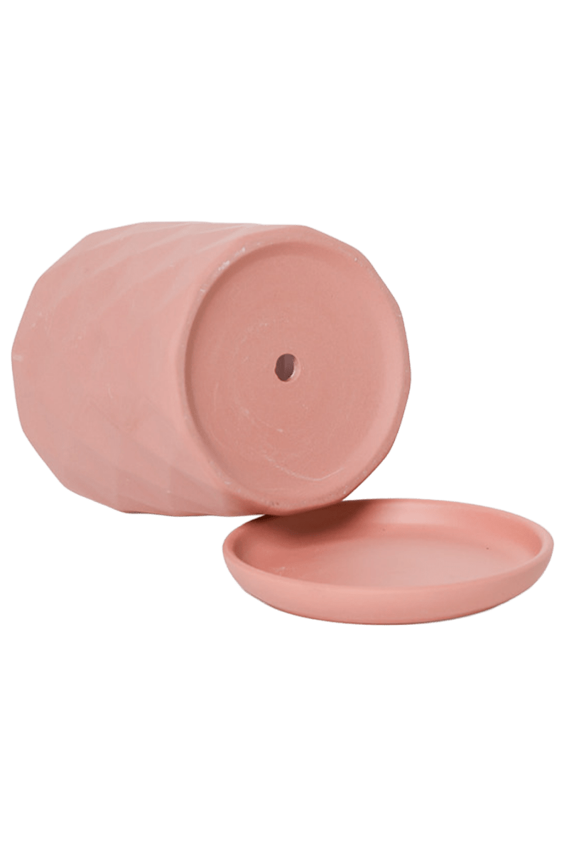 Virago 3.5" Porcelain Pot With Drainage Hole And Saucer - Chive US Wholesale