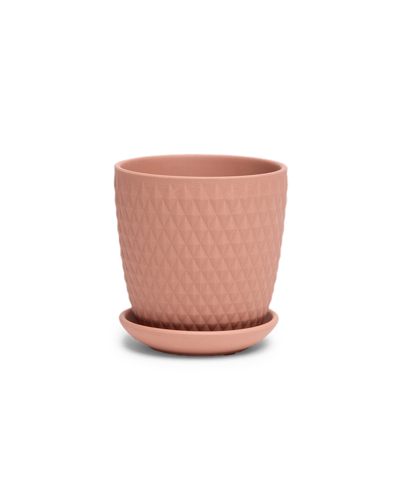 Virago 3.5" Porcelain Pot With Drainage Hole And Saucer - Chive US Wholesale