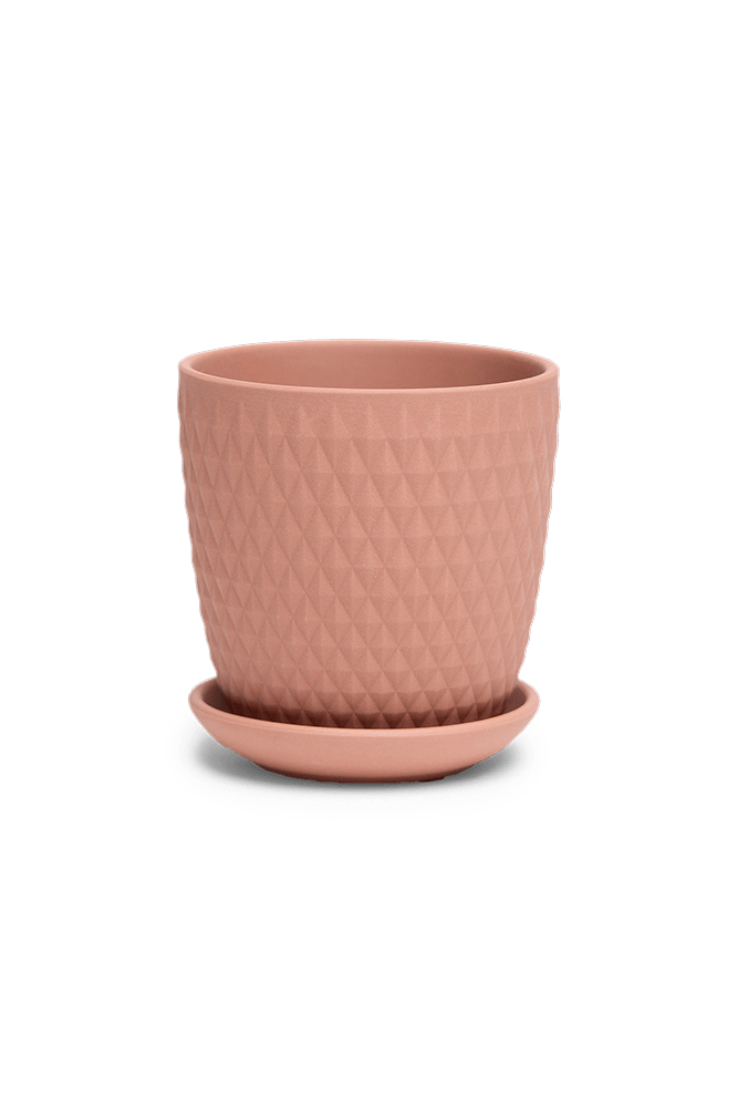 Virago 3.5" Porcelain Pot With Drainage Hole And Saucer - Chive US Wholesale