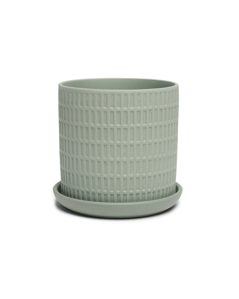 Virago 3.5" Porcelain Pot With Drainage Hole And Saucer - Chive US Wholesale