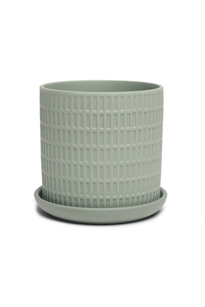 Virago 3.5" Porcelain Pot With Drainage Hole And Saucer - Chive US Wholesale