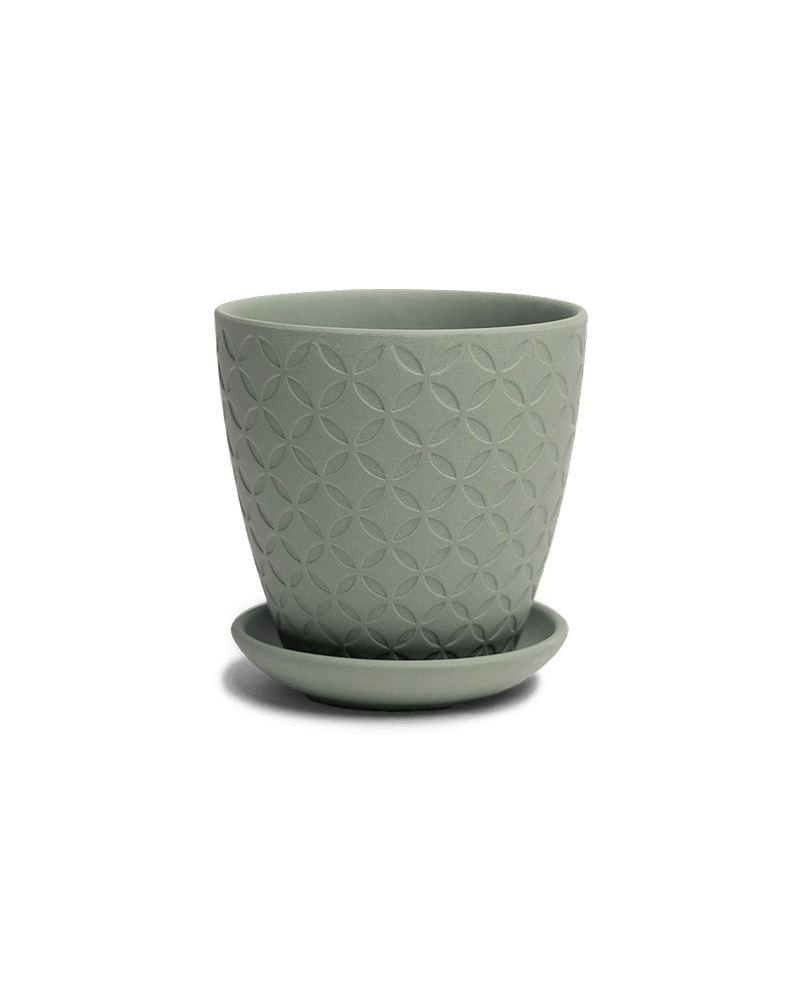 Virago 3.5" Porcelain Pot With Drainage Hole And Saucer - Chive US Wholesale