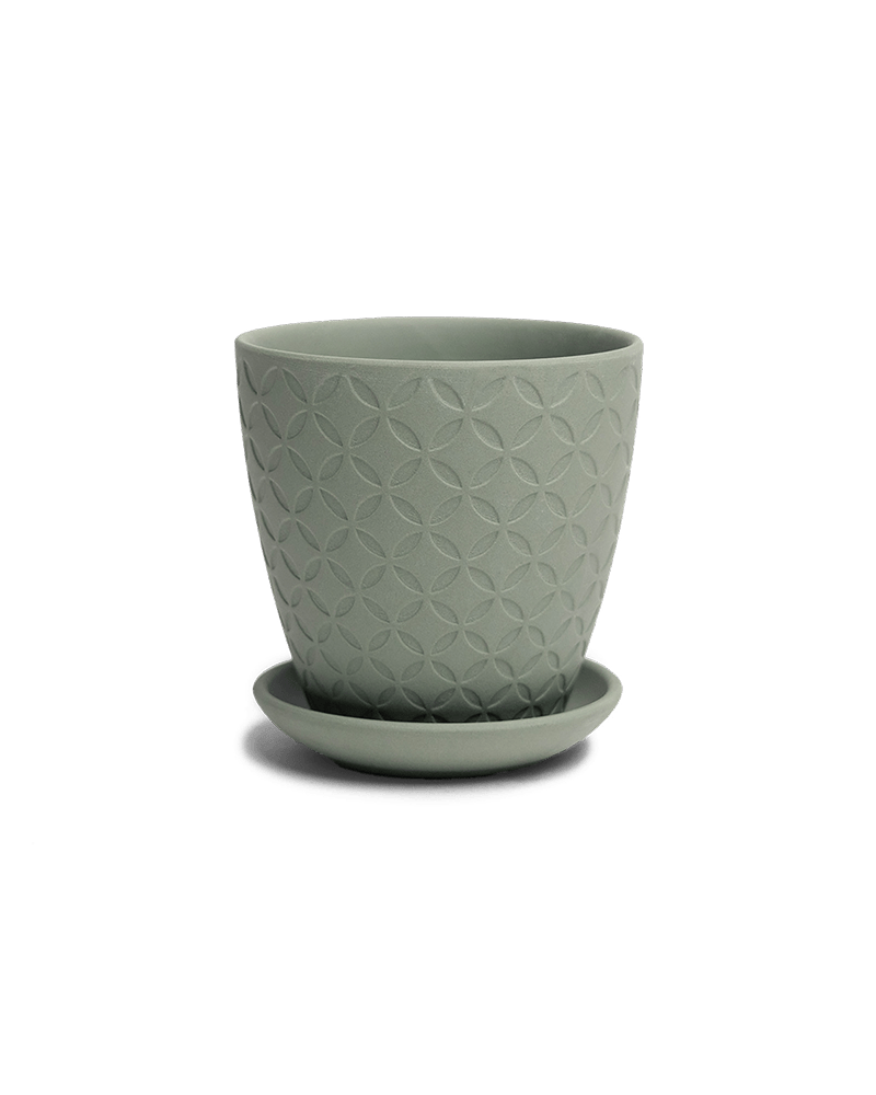 Virago 3.5" Porcelain Pot With Drainage Hole And Saucer - Chive US Wholesale