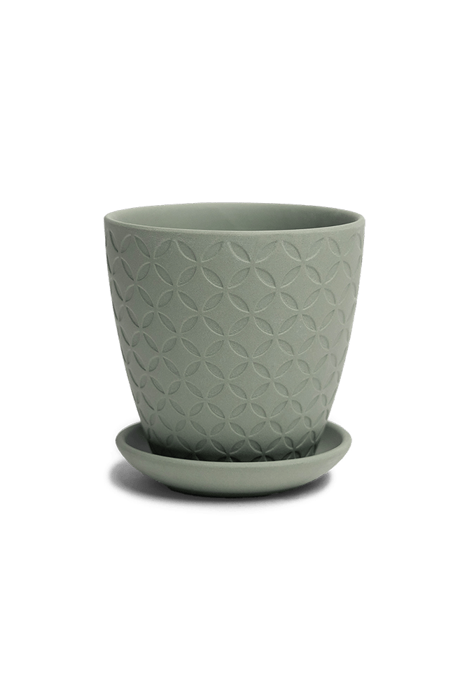 Virago 3.5" Porcelain Pot With Drainage Hole And Saucer - Chive US Wholesale