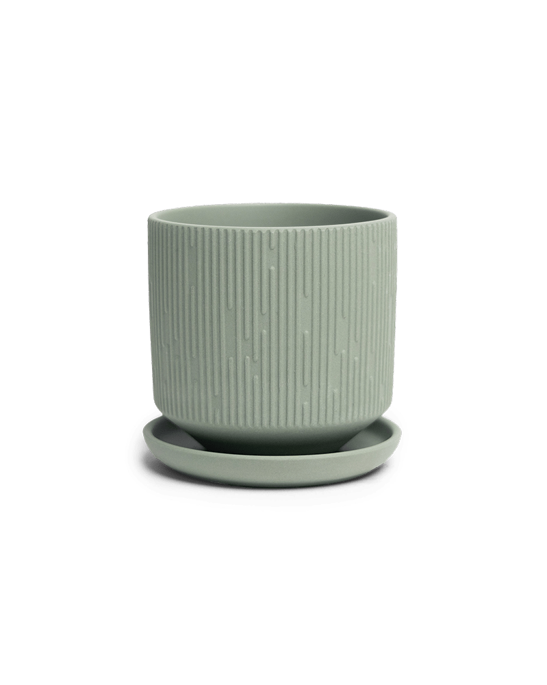 Virago 3.5" Porcelain Pot With Drainage Hole And Saucer - Chive US Wholesale