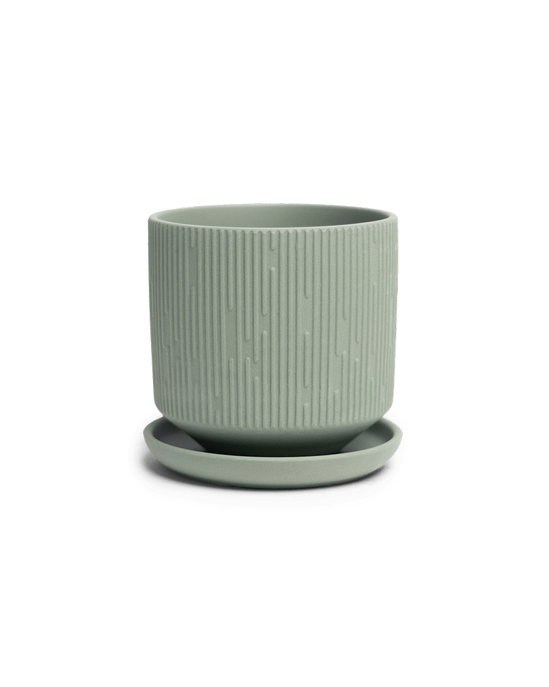 Virago 3.5" Porcelain Pot With Drainage Hole And Saucer - Chive US Wholesale