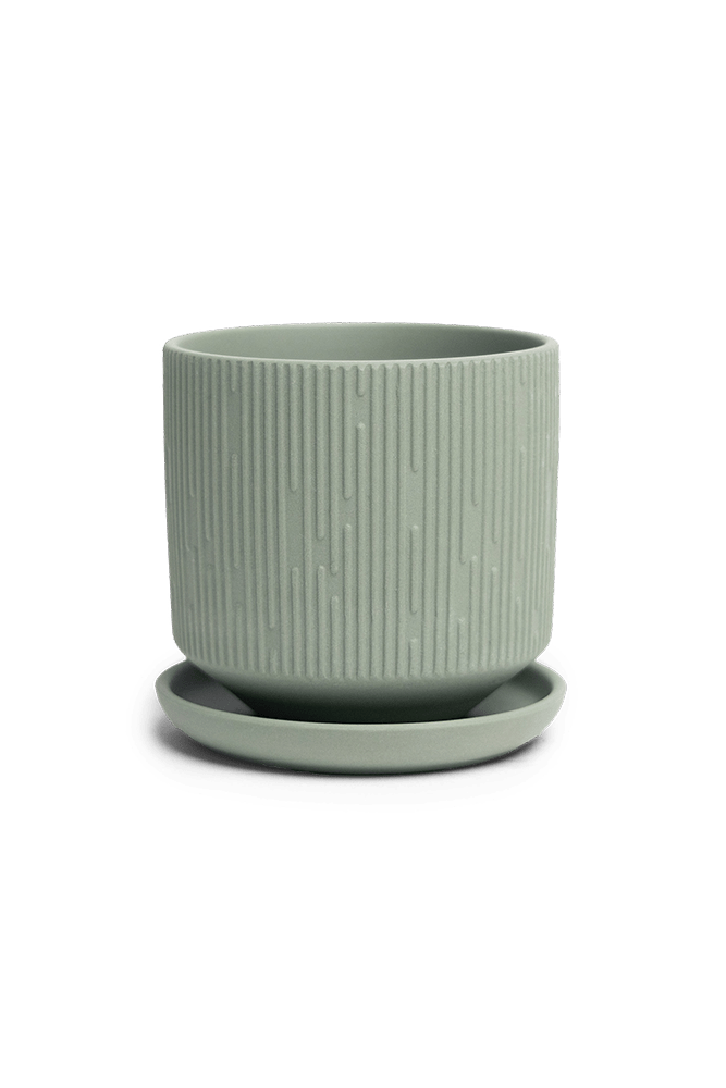 Virago 3.5" Porcelain Pot With Drainage Hole And Saucer - Chive US Wholesale