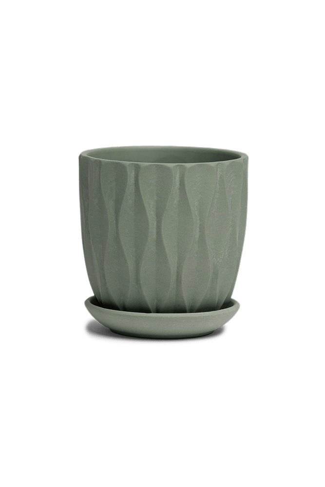 Virago 3.5" Porcelain Pot With Drainage Hole And Saucer - Chive US Wholesale