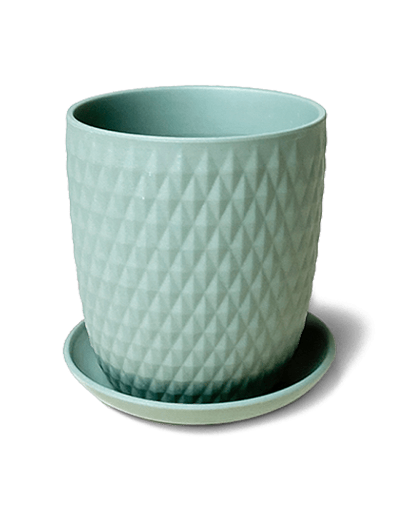 Virago 3.5" Porcelain Pot With Drainage Hole And Saucer - Chive US Wholesale