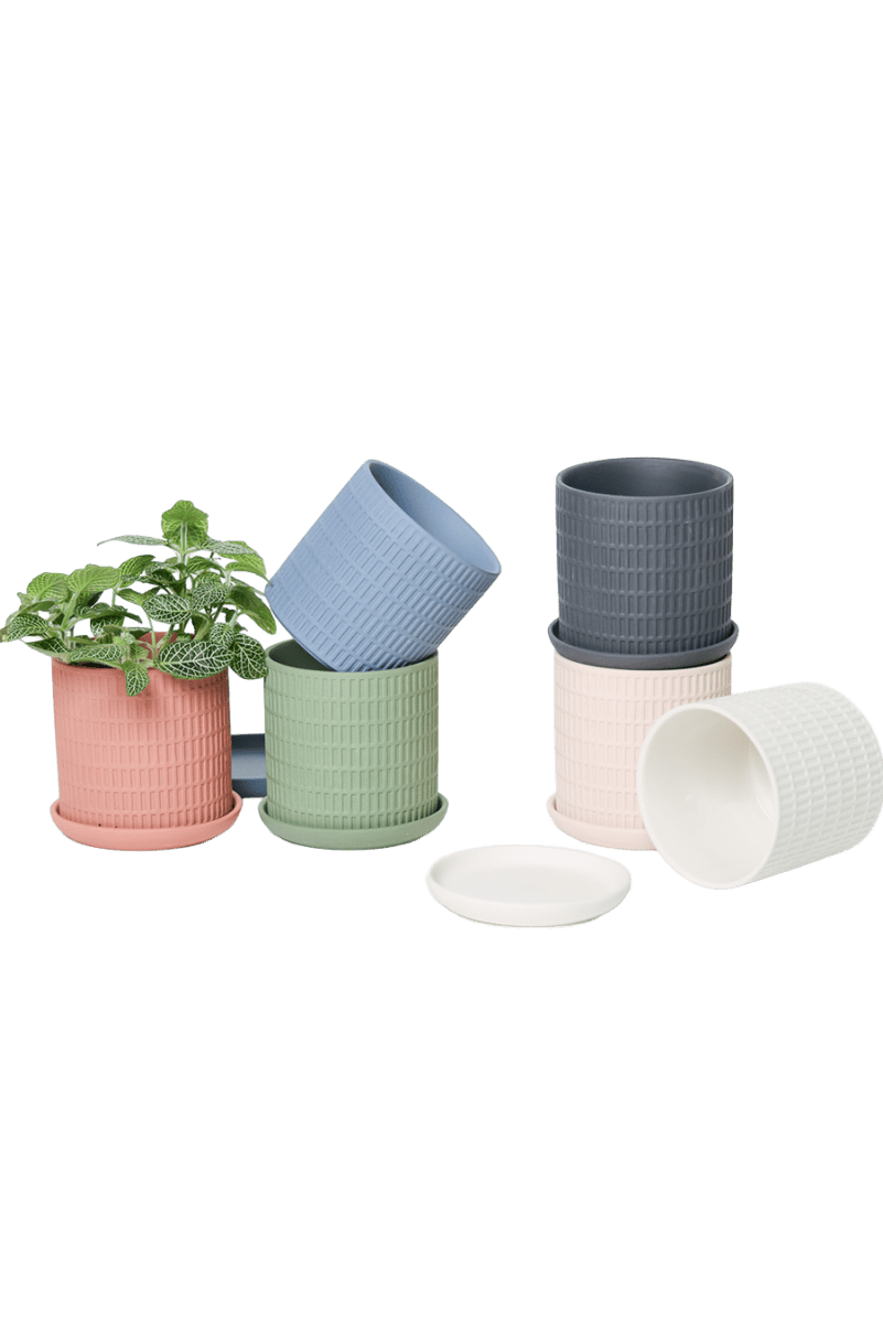 Virago 3.5" Porcelain Pot With Drainage Hole And Saucer - Chive US Wholesale