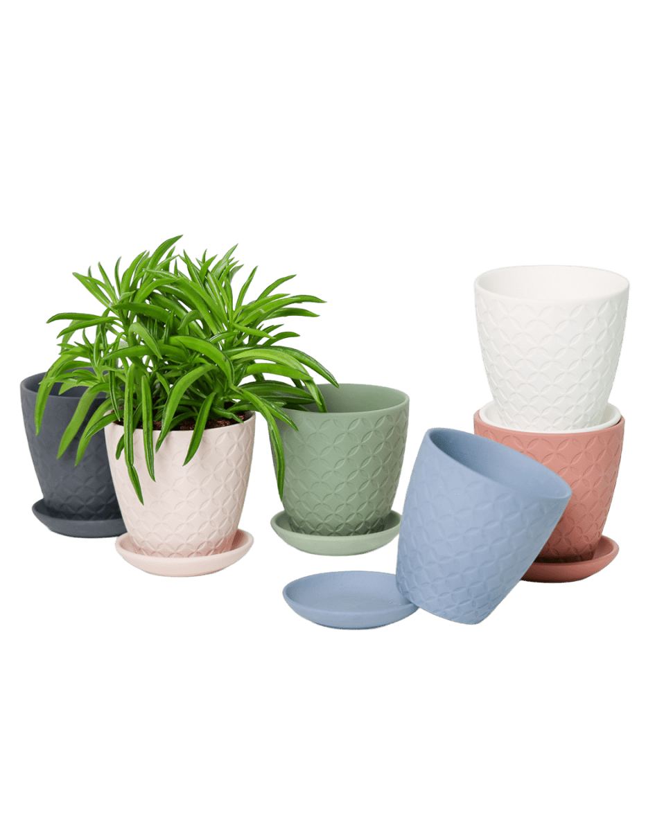 Virago 3.5" Porcelain Pot With Drainage Hole And Saucer - Chive US Wholesale