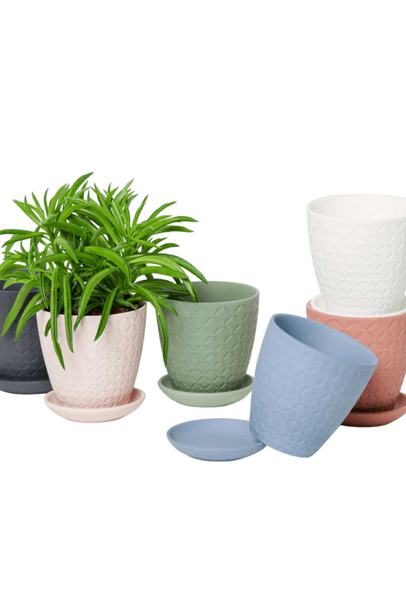 Virago 3.5" Porcelain Pot With Drainage Hole And Saucer - Chive US Wholesale